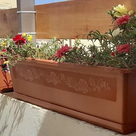 Ramzam - Spacious & Modern 3 Bedroom With Roof Terrace 公寓 马尔萨斯卡拉