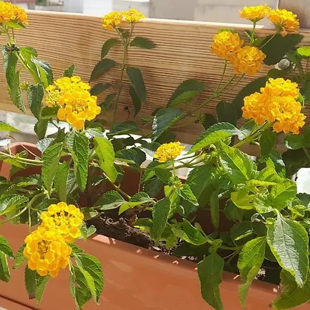 Apartment Ramzam - Spacious & Modern 3 Bedroom With Roof Terrace *