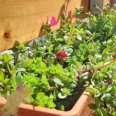 Apartment Ramzam - Spacious & Modern 3 Bedroom With Roof Terrace