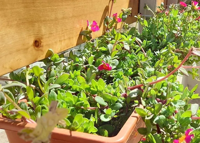 Apartment Ramzam - Spacious & Modern 3 Bedroom With Roof Terrace